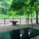 녹색오토캠핑장 이미지