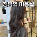 한성헤어샵 - 전주시 완산구 평화18길 11 | 청담역미용실 상상모리헤어하우스청담점 크리닉 후기, 맞춤 관리로 달라진 머릿결