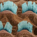 포낙보청기 서울역점 이미지