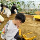 모래틈농장 이미지