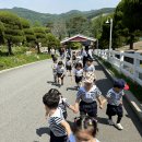 증평 벨포레 봄소풍🍃🌼(1) 이미지