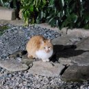 해금강 하늘 가람 펜션 이미지