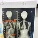 카이로운동센타 이미지