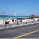 포리롱월정 이미지