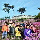 웅동초등학교 이미지