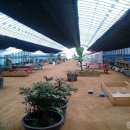 초록미소마을 이미지