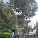 유지공간 민박 이미지