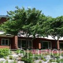 백야자연휴양림 이미지