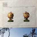 금강디자인2 이미지