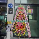 세븐스타코인노래연습장충주 이미지