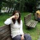 선기로2-6 이미지