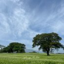 복돌맘 수제간식(폐업) | [제주 2박 3일] 250518