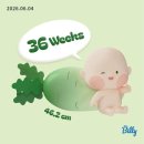전치 앞(2) | [임신후기] 임신 36주차 강북삼성병원 마지막 산전검사 &amp; 전치태반산모 긴급입원통보..?!