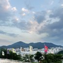 산책길 | 강아지랑 통영 여행｜서피랑 산책길 후기 + 근처 추천 여행지까지