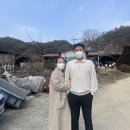 웰데이즈