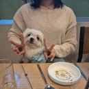 순이네양꼬치양다리구이