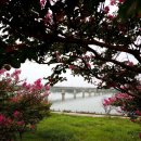 아름다운 당구클럽 이미지