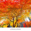 금강체육공원 이미지