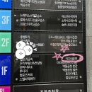 대전 둔산동 맛집 키츠네유부 엄청난 크기의 대왕유부초밥 후기 점심식사로 추천