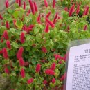 외암민속박물관 이미지