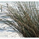 남부정형외과의원 이미지