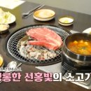육설모