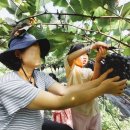 푸른별어린이집 이미지