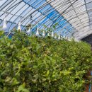 (주)팜텍 | 스마트 농기계자재 식물조명 선두업체 히포팜텍 대구농기계박람회 참가후기