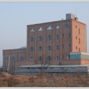 새중앙교회 이미지