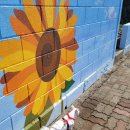 하모리-7 이미지