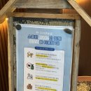 이동공설운동장(천연잔디) | [경기 광주] 고소한 커피와 브런치도 준비되어 있는데 강아지만을 위한 천연잔디까지!? / 애견카페 후기