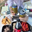 영애횟집 | 🌸출격! 벚꽃 사랑(냥)단🌸