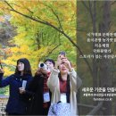 주식회사 올바른 이미지