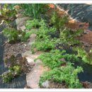 대기농장 이미지