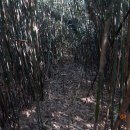 유천버스정류장 이미지