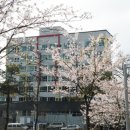 데이드림 오피스텔 이미지