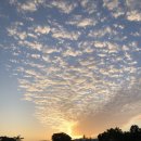 위미의원 이미지