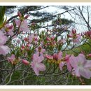 (주)삼정주유소 이미지