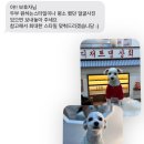 올어바웃도그 이미지