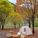 영월약수터 오토캠핑장 이미지