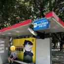 예술광고공사 | 가오슝 당일치기 여행 코스 MRT 라이트레일 1일권 후기