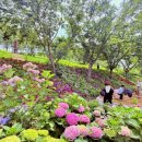 다온숲어린이집 이미지