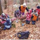 용인아이숲유아숲체험원 이미지