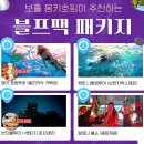 제주 반딧불 | 인천 보홀 항공권 제주항공 에어부산 보홀 반딧불투어