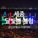 달빛동화마을 | 세종시 이응다리 달빛배/ 주차와 비용/할인쿠폰 사용 후기