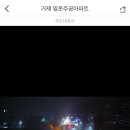 홍수농장 Daum카페