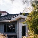 식물을담다
