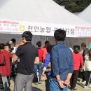 천안농업협동조합 광덕지점 이미지