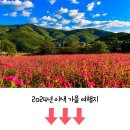 9,10월에 가기 좋은 여행지 이미지