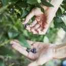 손해평가사 1차 - 농어업재해보험법령 및 손해평가요령 이미지